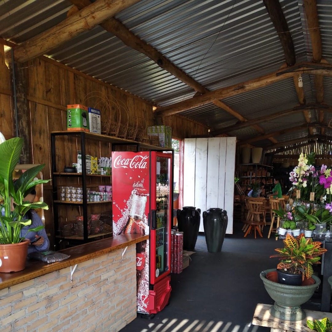 Ambiente feito com tábuas de eucalipto